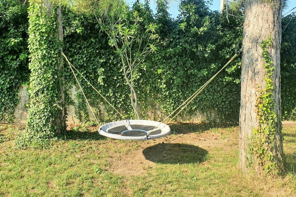 Cadre D'exception Orange (Vaucluse)